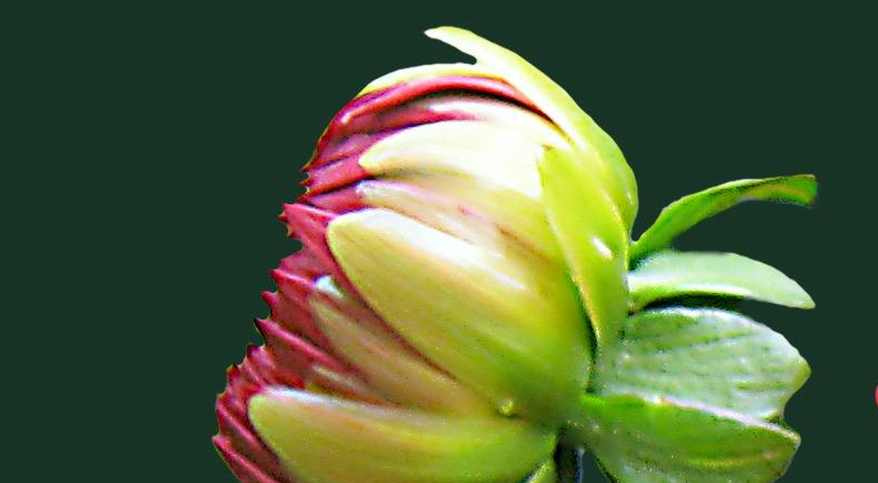 An image of DVD stacks.